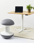 Ergonomic desk with adjustable height, laptop, plant, and gray and white Humanscale Ballo stool on a light background. Kansas City Office Design.