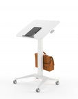 AIS Sit-to-Stand Mobile Desk with casters. Kansas City office furniture.