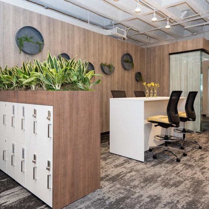 Modern office space with wooden desk, chairs, and plant decorations. Kansas City Office Design.