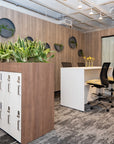 Modern office space with wooden desk, chairs, and plant decorations. Kansas City Office Design.