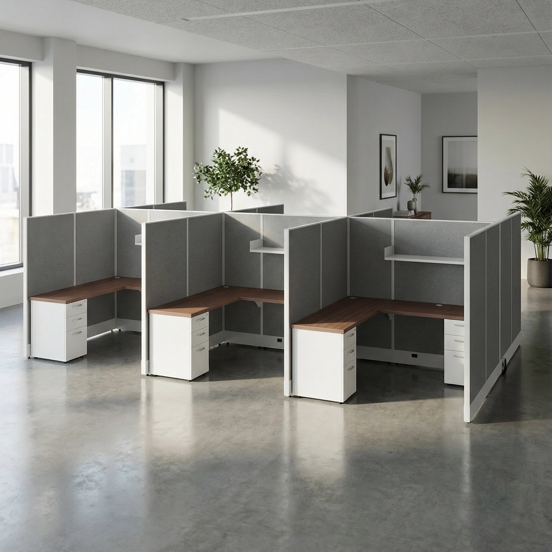 Modern office setup with partitioned workstations and plants. Kansas City Office Design