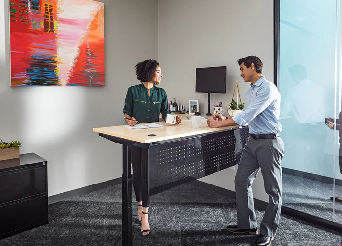 Steel Desk Modesty Panel | KC Office Design