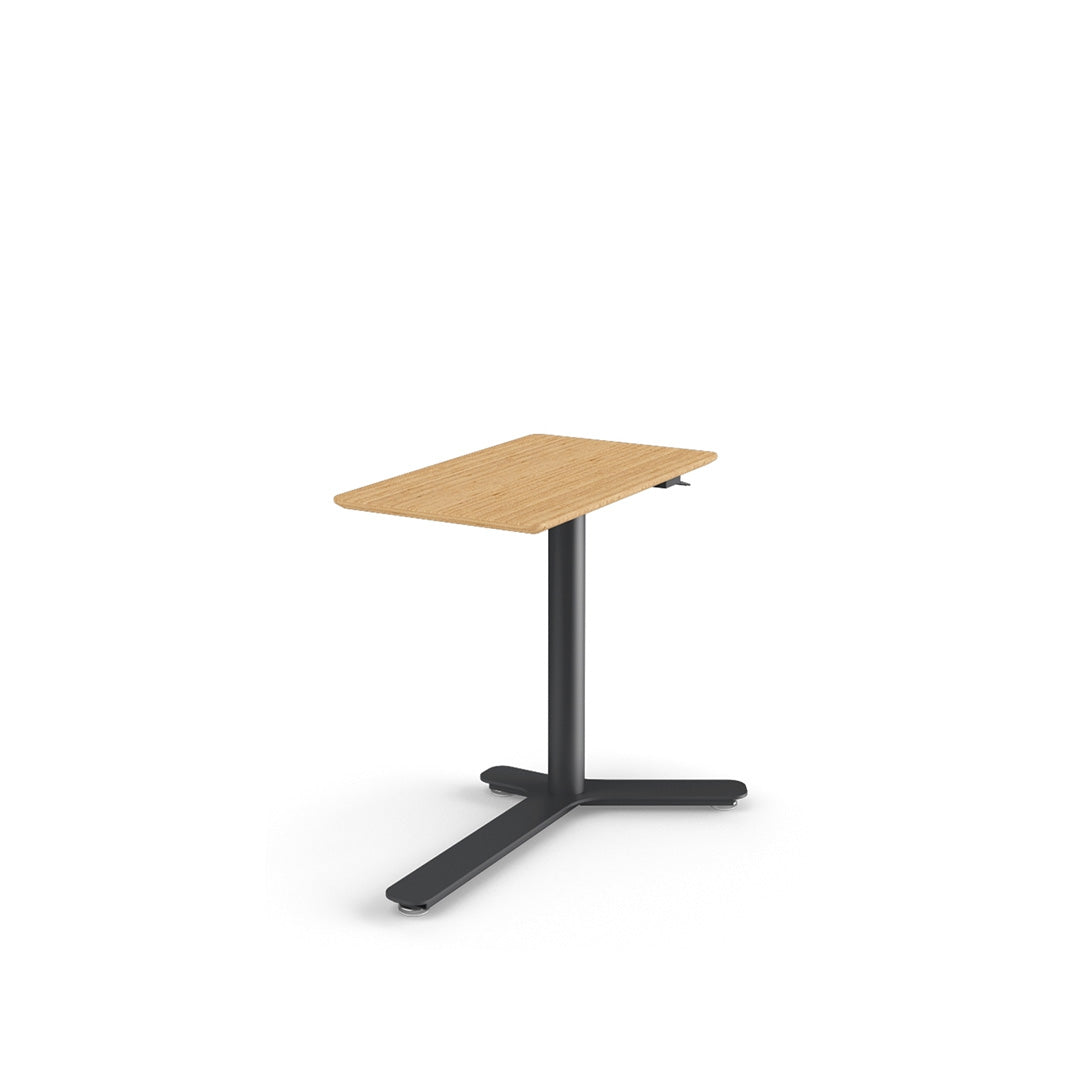 Float Mini Height Adjustable Desk 16