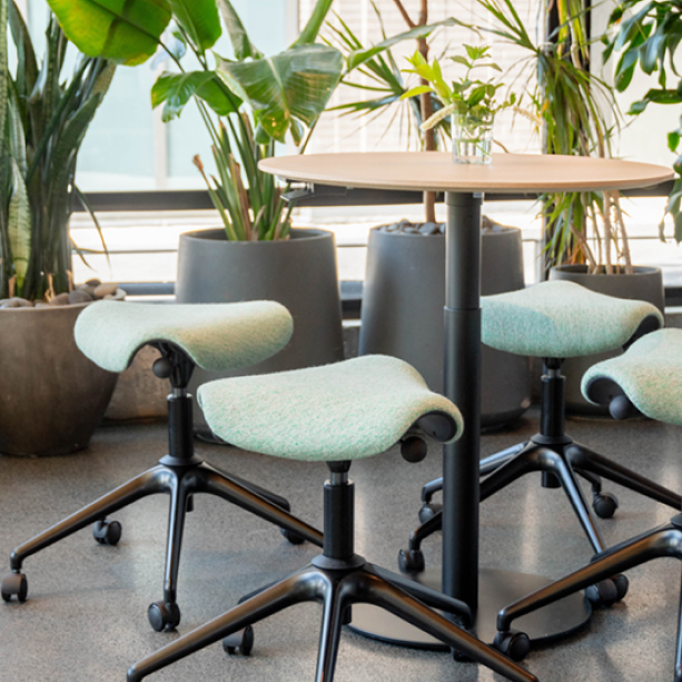 Modern office chairs around a Humanscale Float Gather 30" Round table with plants in the background. Kansas City Office Design.