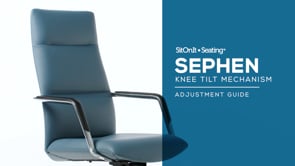 Video of Sephen Knee Tilt Mechanism