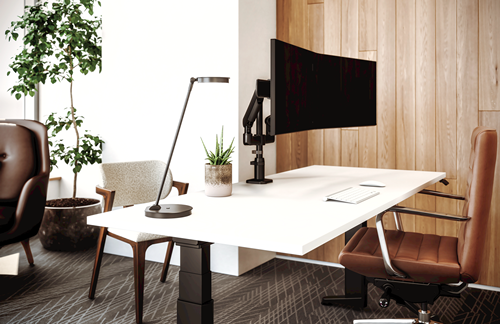 Lilly Single arm LED task Light
